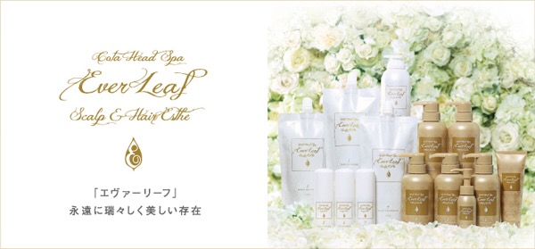 COTAのサロントリートメント「エヴァーリーフ」がすごくいい | 上更谷